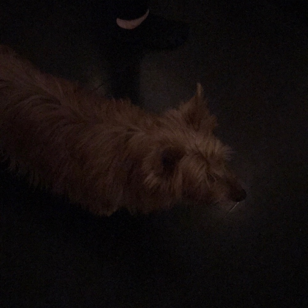 Meet your Posher, Britta